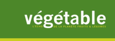 Logo Vegetable